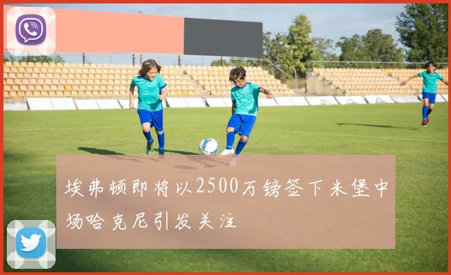 埃弗顿即将以2500万镑签下米堡中场哈克尼引发关注