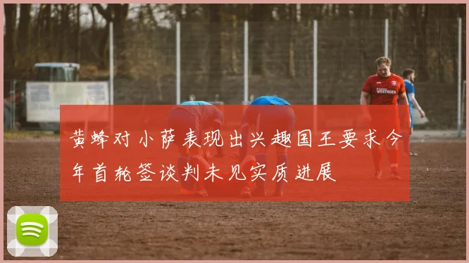 黄蜂对小萨表现出兴趣国王要求今年首轮签谈判未见实质进展